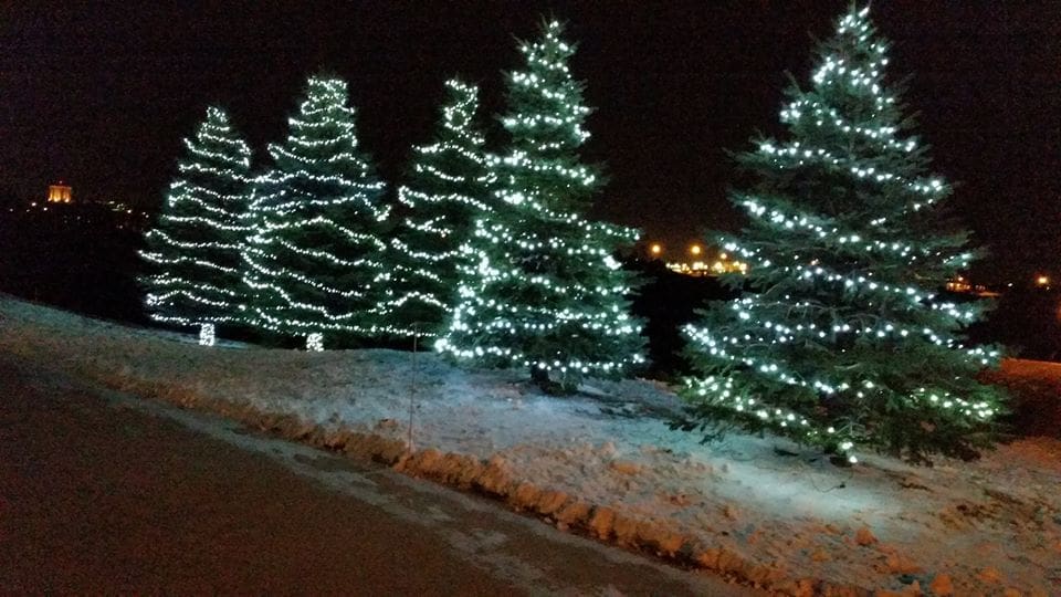 outdoor decorated christmas trees